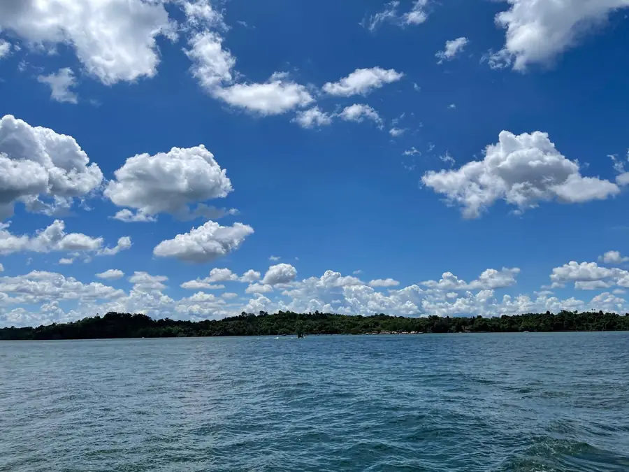 Sea ash scattering view