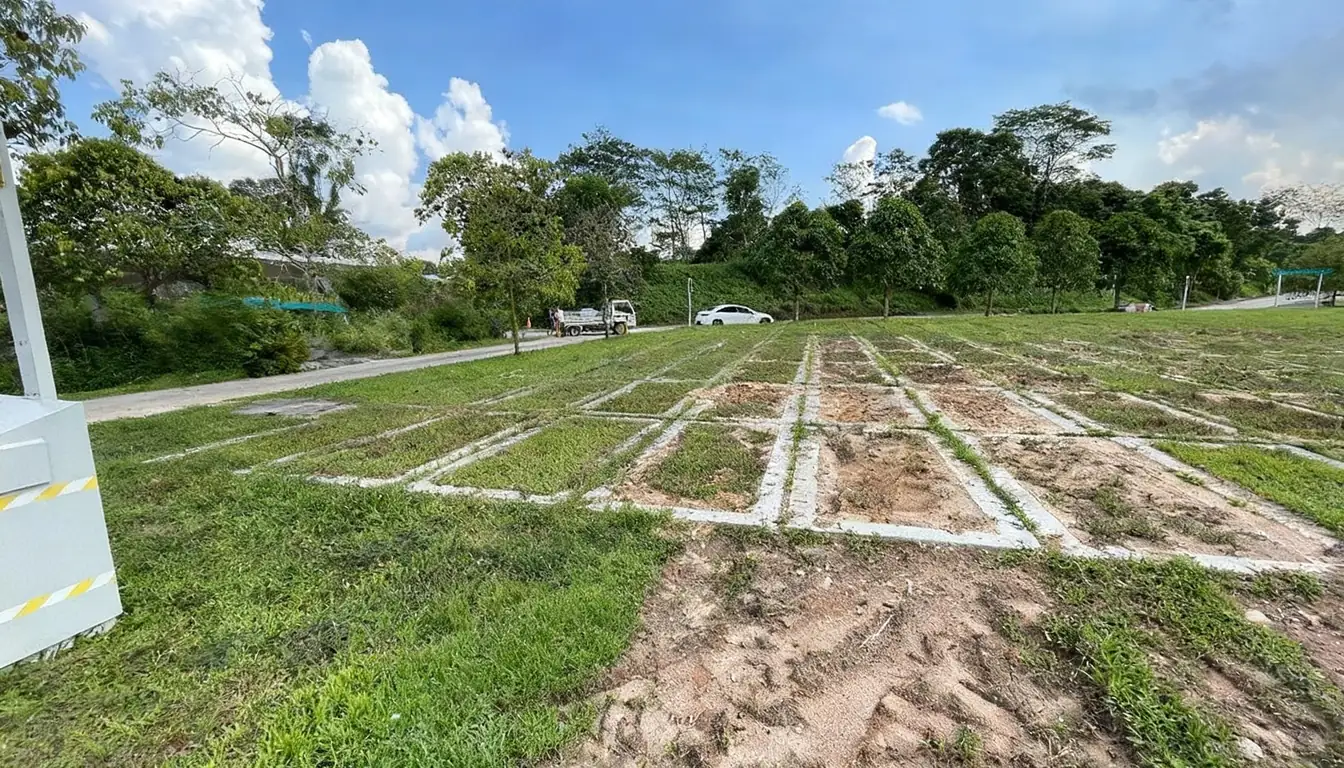 Empty burial plots marked out with grid lines at Choa Chu Kang Cemetery