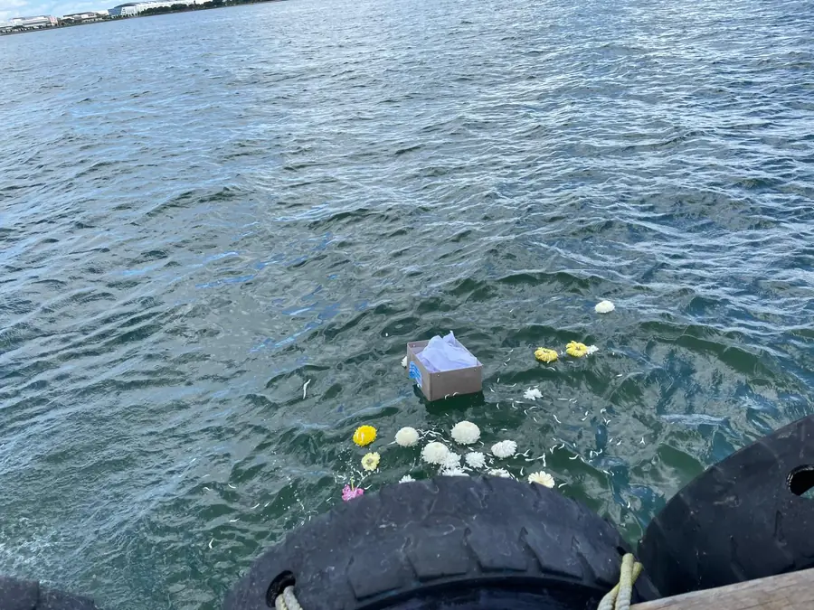 海上撒灰后漂浮的花瓣