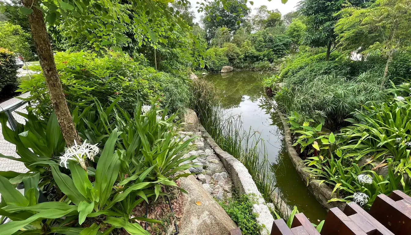 宁静园装饰性水池及热带植栽
