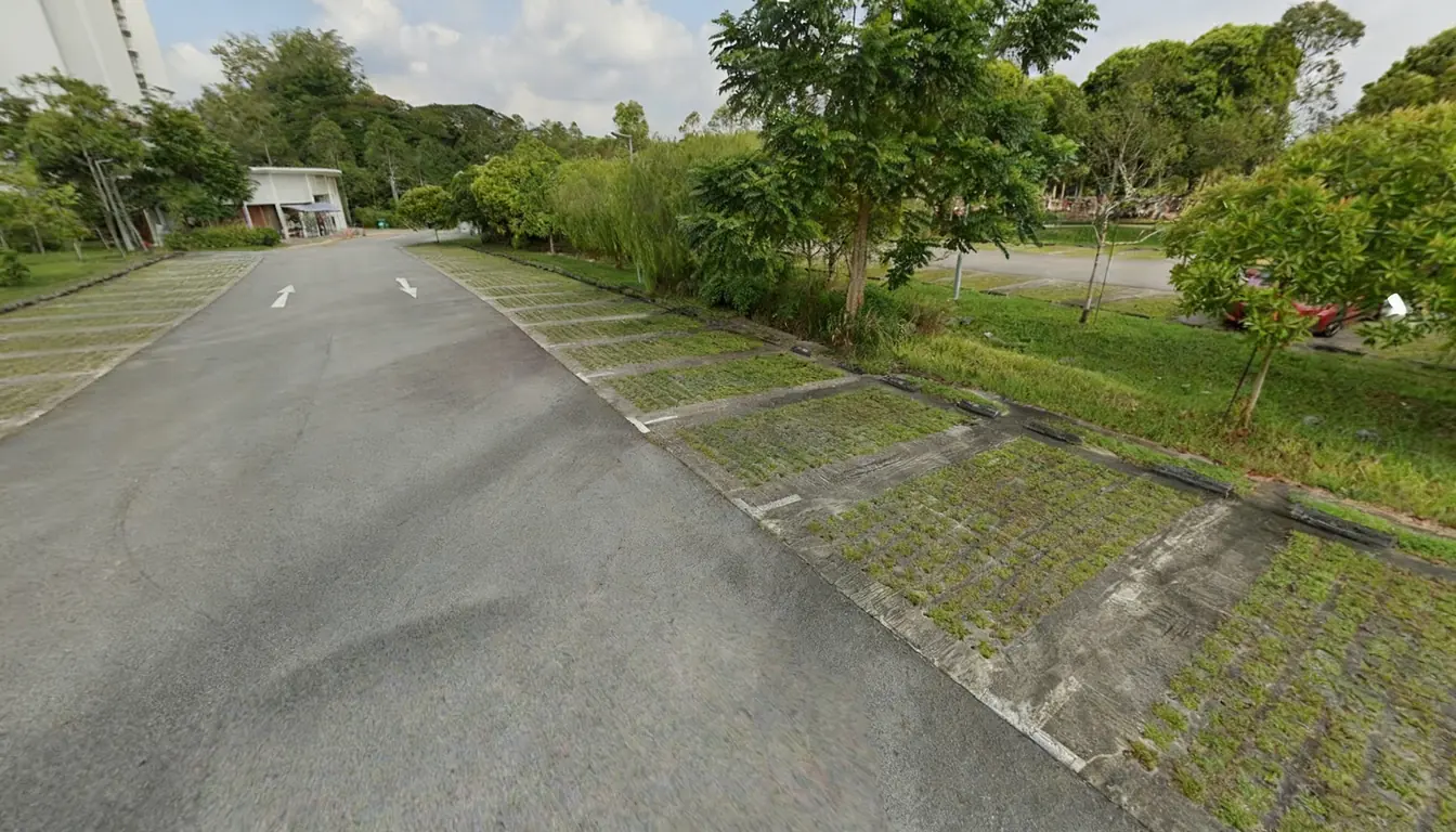 蔡厝港坟场的通行道路及草皮停车区