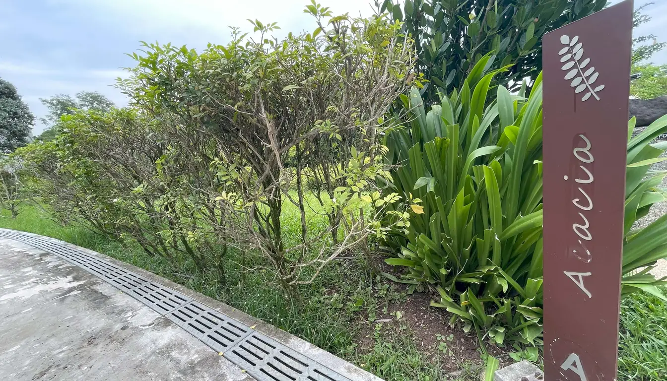 清心园Acacia小径入口指示牌
